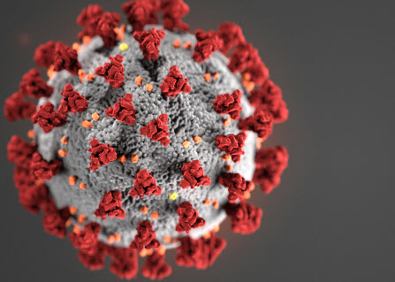 Corona Virus