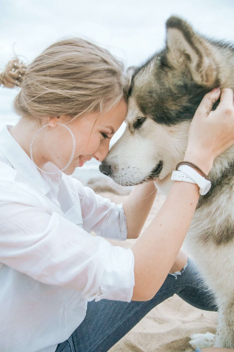 Loyalty and trust