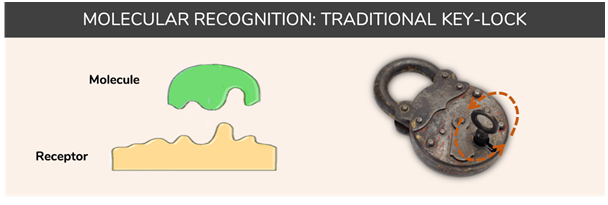 Molecular recognition