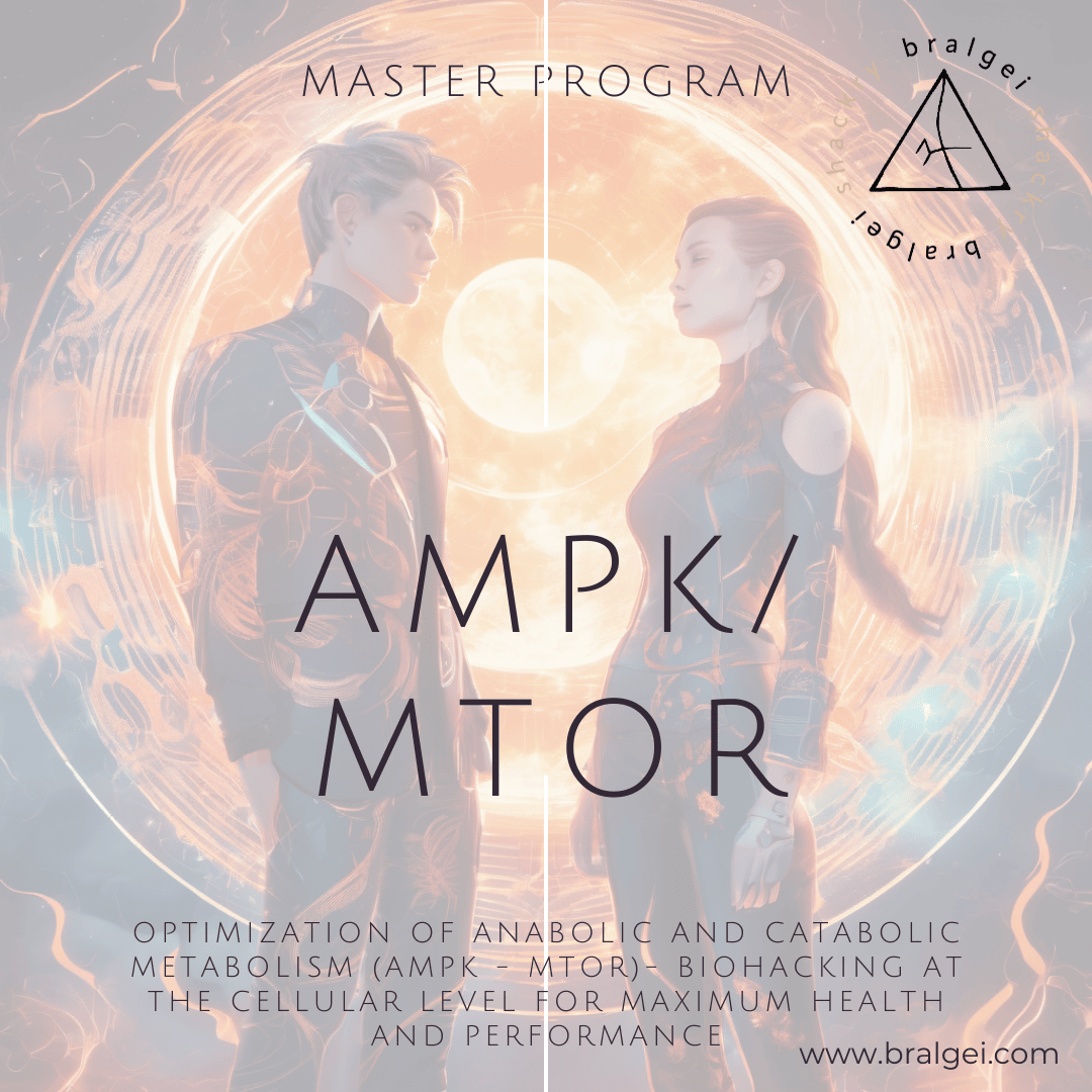 Master Program AMPK/Mtor