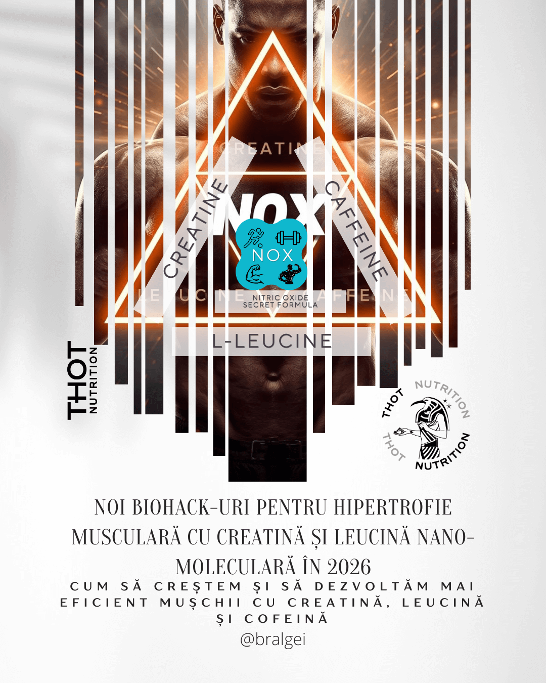 Hipertrofie musculara cu Creatina si Leucina Nano moleculara