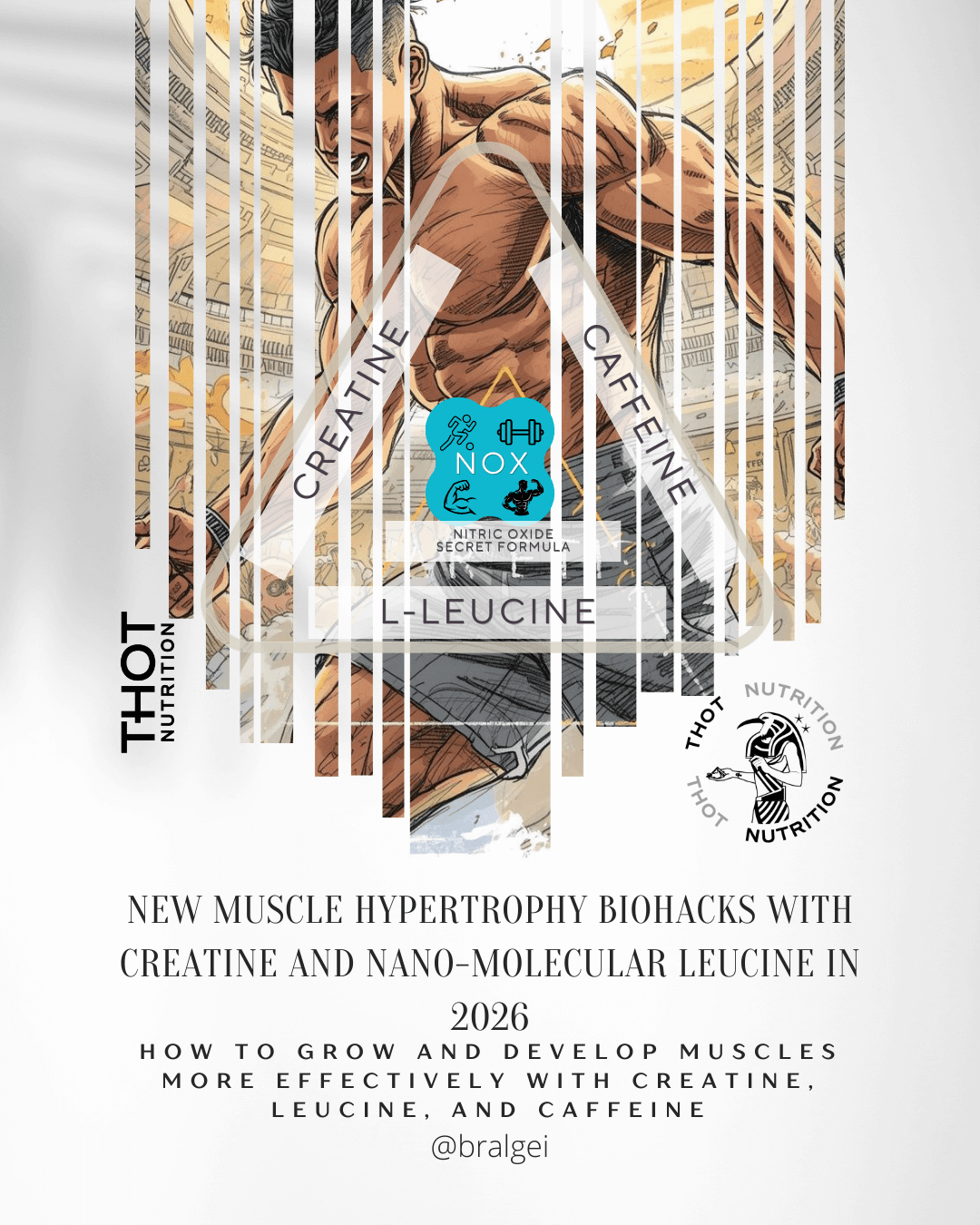New muscle hypertrophy biohacks with creatine and nano-molecular leucine in 2026