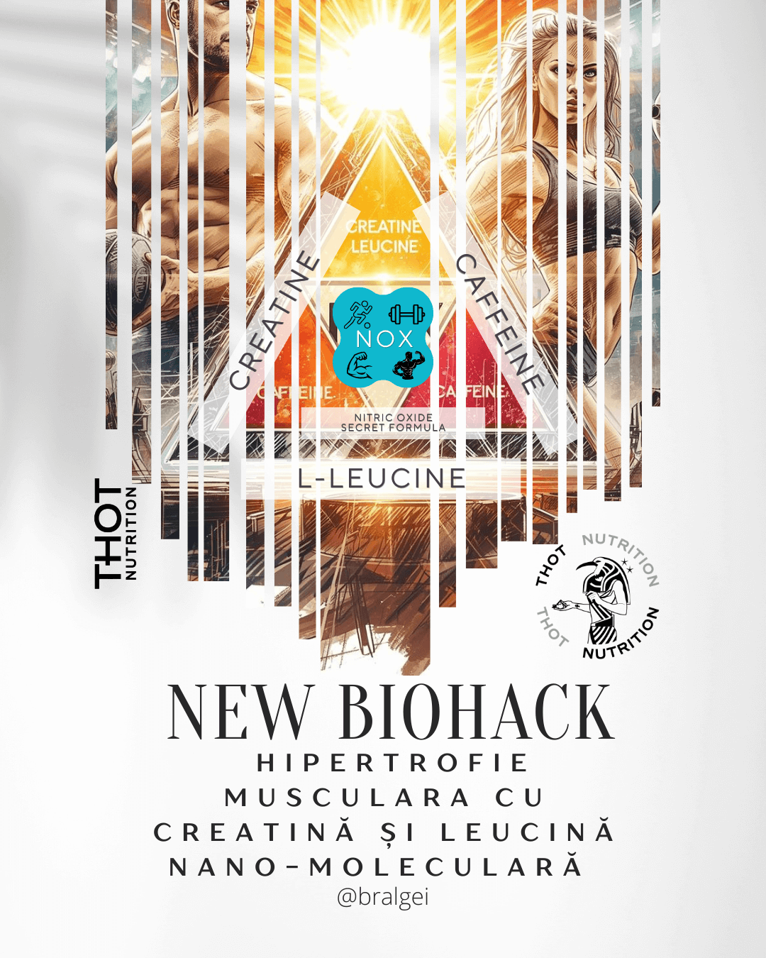 Hipertrofie musculara cu Creatina si Leucina Nano moleculara