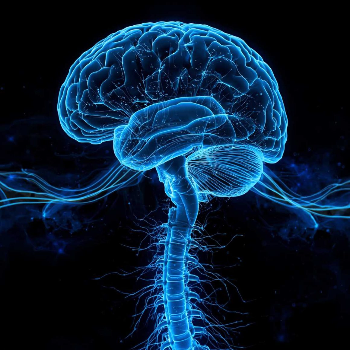 Sleep and Glymphatic system